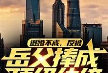 退婚不成,反被岳父捧成顶级纨绔免费阅读,退婚不成,反被岳父捧成顶级纨绔陈天阳龙婉馨-书格格