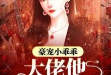 豪宠小乖乖,大佬他宠妻无价免费阅读,豪宠小乖乖,大佬他宠妻无价章节在线阅读-书格格