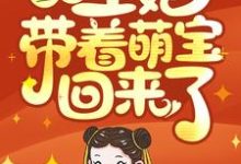 王爷,王妃带着萌宝回来了!小说全文阅读需要付费吗?寻找免费资源-书格格