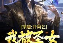 完结版《穿越:开局乞丐,我被圣女表白了》免费阅读-书格格