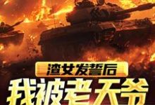 苏晨的故事在哪本书里?免费阅读渣女发誓后,我被老天爷误伤了-书格格