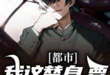 完结版《都市:我这替身,要钱是专业的》免费阅读-书格格