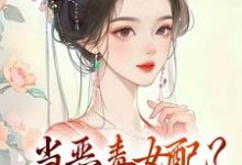 当恶毒女配?不,我直接发颠小说全文哪里可以免费看?-书格格