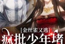 主人公叫沈清沅祝怀砚的小说金丝雀又逃,疯批少年堵巷红了眼在线阅读章节-书格格