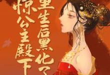 惊!公主殿下重生后黑化了小说的所有章节都能在哪里免费读到?-书格格