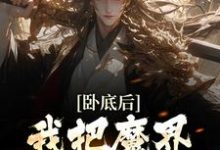 沈逸尘小说在线章节免费阅读(卧底后,我把魔界圣女拿下了无弹窗无删减)-书格格