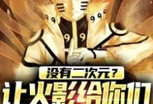 没有二次元?让火影给你们一点震撼最新章节,没有二次元?让火影给你们一点震撼免费阅读-书格格