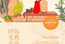 在线寻找时光走远，你我还在小说的无删减版本-书格格