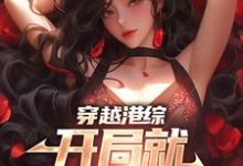 完结版《穿越港综,开局就和大嫂偷情》免费阅读-书格格