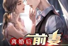 离婚后,前妻跪求原谅 陈江唐幼楚小说免费阅读-书格格