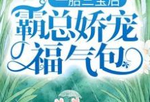 小说《一胎三宝后,霸总娇宠福气包》章节免费阅读-书格格