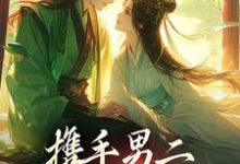 李言蔺子墨小说在线章节免费阅读(携手男二,我们驰骋官场无弹窗无删减)-书格格