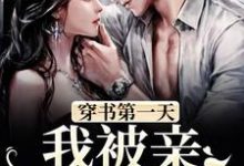 叶芙悦沈尧小说在线章节免费阅读(穿书第一天,我被亲妹妹抢亲无弹窗无删减)-书格格