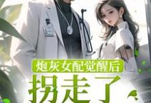 慕娇沈辞为主角的小说叫什么?免费看炮灰女配觉醒后拐走了冷情男主-书格格