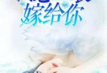 小说《我想盛装嫁给你》章节免费阅读-书格格
