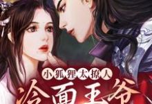 小狐狸太撩人,冷面王爷笑着宠小说,小狐狸太撩人,冷面王爷笑着宠最新章节-书格格