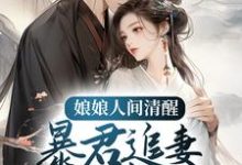 娘娘人间清醒,暴君追妻火葬场小说有没有完整的免费版本在线阅读?-书格格