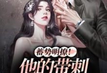 完结版《蓄势明撩!他的带刺玫瑰正走来》免费阅读-书格格