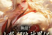 齁甜!小狐狸他被黑化男主吃干抹净免费阅读,齁甜!小狐狸他被黑化男主吃干抹净章节在线阅读-书格格