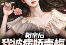 在线寻找相亲后,我被病娇青梅强势占有小说的无删减版本-书格格