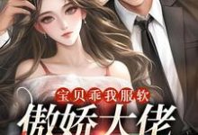 已完结小说《宝贝乖我服软,傲娇大佬他沦陷了》在线章节阅读-书格格