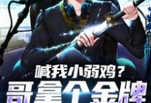 求喊我小弱鸡?哥拿个金牌你就老实了小说免费资源-书格格