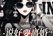 已完结小说《说好要离婚,你怎么后悔了》最新章节-书格格