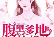 苏锦如沈延风夏莎齐森小说完结版在线阅读，妈咪胖胖，腹黑爹地快投降免费看-书格格