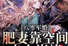 求推荐可以免费阅读八零军婚:肥妻靠空间走上巅峰小说的网站-书格格