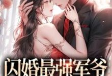闪婚最强军爷,被宠上天小说的无弹窗阅读体验,寻找免费阅读网站-书格格