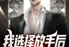 我选择放手后,校花后悔了这本小说怎么样?免费在线阅读试试-书格格