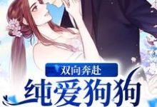 双向奔赴!纯爱狗狗狂宠小青梅小说全文哪里可以免费看?-书格格