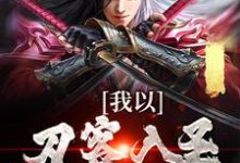 完结版《我以刀客入圣,镇压诸天!》在线免费阅读-书格格