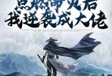 已完结小说《辅助角色:点燃命火后我逆袭成大佬》在线章节阅读-书格格