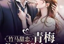 竹马甜恋:青梅,你认错人了!这本小说完结了吗?免费查看最新章节-书格格