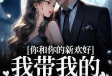 你和你的新欢好，我带我的娃远走小说无弹窗阅读的网站推荐-书格格