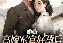 完结版《九零高嫁军官好孕后,前夫红了眼》章节阅读-书格格