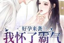 好孕来袭:我怀了霸气军官的崽子小说最新更新在哪里?免费在线看-书格格