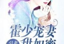 引妻入怀：霍少宠妻甜如蜜小说的所有章节都能在哪里免费读到？-书格格