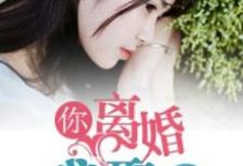 你离婚，我娶你小说完结版章节免费阅读-书格格