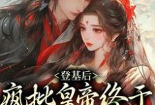 登基后,疯批皇帝终于娶到白月光许滢,登基后,疯批皇帝终于娶到白月光章节在线阅读-书格格