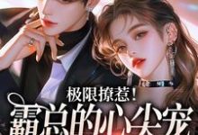 极限撩惹!霸总的心尖宠又疯又野小说有没有完结版在线?-书格格