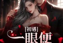 求推荐可以免费阅读初遇:一眼便定下终生小说的网站-书格格