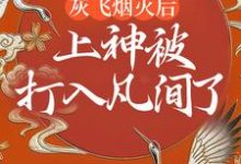 灰飞烟灭后,上神被打入凡间了免费阅读,灰飞烟灭后,上神被打入凡间了章节目录-书格格