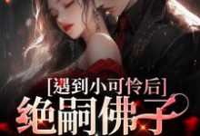 遇到小可怜后,绝嗣佛子掉下神台小说完结版章节免费阅读-书格格