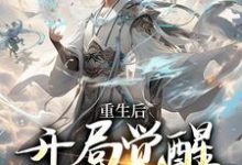 重生后,开局觉醒氪命系统韩硕,重生后,开局觉醒氪命系统最新章节-书格格