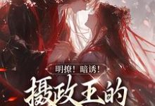 宋婉沈君铎小说叫什么(明撩!暗诱!摄政王的外室不好当免费阅读)-书格格