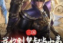 三国:我收刘皇叔当小弟,拥汉为王章节免费在线阅读,何近何进完结版-书格格