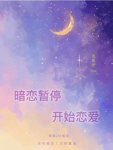 暗恋暂停，开始恋爱小说，暗恋暂停，开始恋爱在线阅读