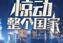 我一通电话,惊动整个国家叶北,我一通电话,惊动整个国家小说免费阅读-书格格